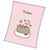 Front - Pusheen - Couverture