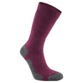 Pourpre - Front - Craghoppers - Chaussettes TREK - Adulte