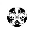 Front - Newcastle United FC - Ballon de foot