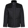 Front - Regatta - Veste PADBURY - Homme