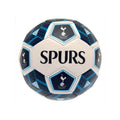 Front - Tottenham Hotspur FC - Ballon de foot