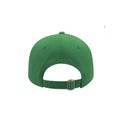 Vert - Back - Atlantis - Casquette effet usé - Mixte