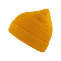 Jaune - Front - Atlantis - Bonnet WOOLLY