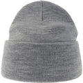 Gris clair - Front - Atlantis - Bonnet PURE - Adulte