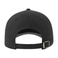 Noir - Blanc - Back - Atlantis - Casquette LIBERTY SANDWICH - Adulte