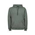 Vert de gris - Front - Tee Jays - Sweat à capuche - Homme