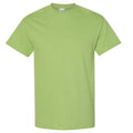 Kiwi - Front - Gildan - T-shirt - Homme