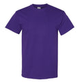 Violet - Front - Gildan - T-shirt - Homme