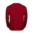 Rouge - Back - Tee Jays - Sweat POWER - Homme