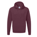 Bleu ciel - Lifestyle - Sweatshirt à capuche Russell pour homme