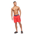 Rouge - Back - Bench - Short de bain BELIZE - Homme