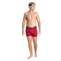 Multicolore - Back - Smith & Jones - Boxers KESDEN - Homme