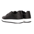 Noir - Back - Crosshatch - Baskets CASIMIRO - Homme