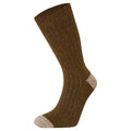 Kaki foncé - Beige - Back - Craghoppers - Chaussettes TORVER - Adulte