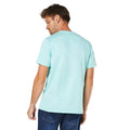 Turquoise vif - Back - Maine - T-shirt OCEAN PACIFIC - Homme