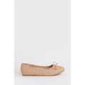 Rose - Back - Dorothy Perkins - Ballerines PRIYA - Femme