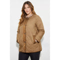 Marron - Pack Shot - Dorothy Perkins - Veste matelassée - Femme