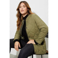 Vert de gris - Pack Shot - Dorothy Perkins - Veste matelassée - Femme