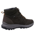 Marron foncé - Back - Cotswold - Bottes DIXTON - Homme