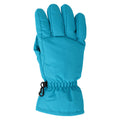 Bleu sarcelle - Front - Mountain Warehouse - Gants de ski - Femme