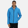 Bleu roi-bleu marine - Back - Regatta - Veste softshell ABLAZE - Homme