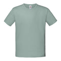 Vert de gris - Front - Fruit Of The Loom - T-shirt manches courtes ICONIC -  Unisexe