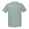 Vert de gris - Back - Fruit Of The Loom - T-shirt manches courtes ICONIC -  Unisexe