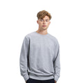 Gris clair - Side - Mantis - Sweatshirt - Homme