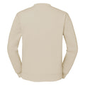 Beige pâle - Back - Fruit Of The Loom - Sweat - Homme