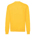 Tournesol - Back - Fruit Of The Loom - Sweat - Homme