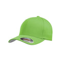 Vert clair - Front - Flexfit - Casquette peignée WOOLY - Unisexe