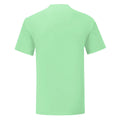 Vert pâle - Back - Fruit Of The Loom - T-shirt ICONIC - Hommes