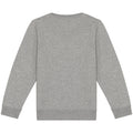 Gris clair Chiné - Back - Native Spirit - Sweat - Enfant