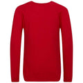 Rouge - Back - Awdis - Sweat ACADEMY - Enfant