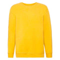 Tournesol - Front - Fruit of the Loom - Sweat PREMIUM - Enfant