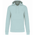 Menthe pâle - Front - Kariban - Sweat à capuche - Homme