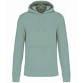 Vert de gris - Front - Kariban - Sweat à capuche - Homme