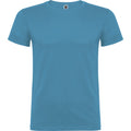 Bleu vif - Front - Roly - T-shirt BEAGLE - Homme