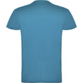 Bleu vif - Back - Roly - T-shirt BEAGLE - Homme