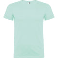 Menthe - Front - Roly - T-shirt BEAGLE - Homme