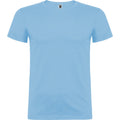 Bleu ciel - Front - Roly - T-shirt BEAGLE - Homme