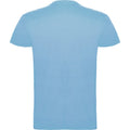 Bleu ciel - Back - Roly - T-shirt BEAGLE - Homme