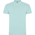 Menthe - Front - Roly - Polo STAR - Homme