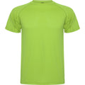 Vert clair - Front - Roly - T-shirt MONTECARLO - Homme