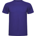 Mauve - Front - Roly - T-shirt MONTECARLO - Homme