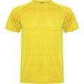 Jaune - Front - Roly - T-shirt MONTECARLO - Homme