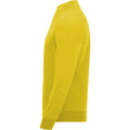 Jaune - Lifestyle - Roly - Sweat EPIRO - Enfant