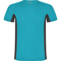 Turquoise vif - Anthracite - Front - Roly - T-shirt SHANGHAI - Homme