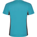 Turquoise vif - Anthracite - Back - Roly - T-shirt SHANGHAI - Homme