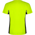 Vert fluo - Anthracite - Back - Roly - T-shirt SHANGHAI - Homme